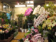 「グリーンフラワープラザうえよし」　（京都府京都市下京区）の花屋店舗写真2